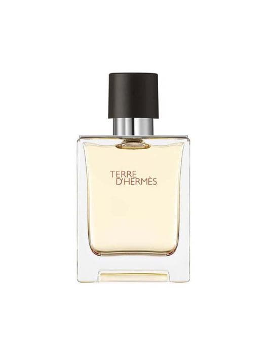 Hermes Terre D'Hermes Edt 100 ML Erkek Parfüm - THEP-0